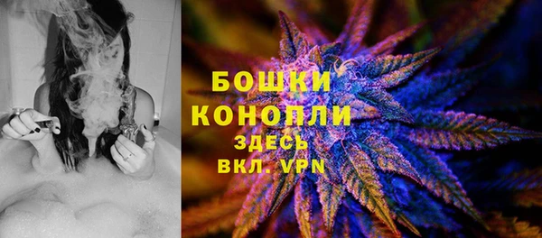 a pvp Няндома